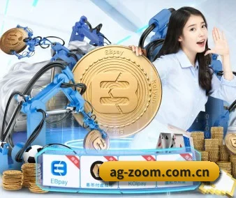 公司成立