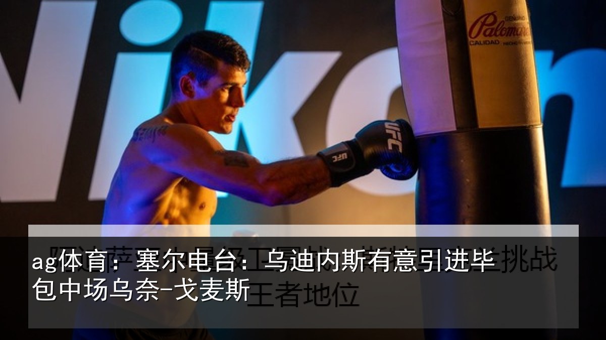 ag体育：塞尔相关情况引进相关情况斯