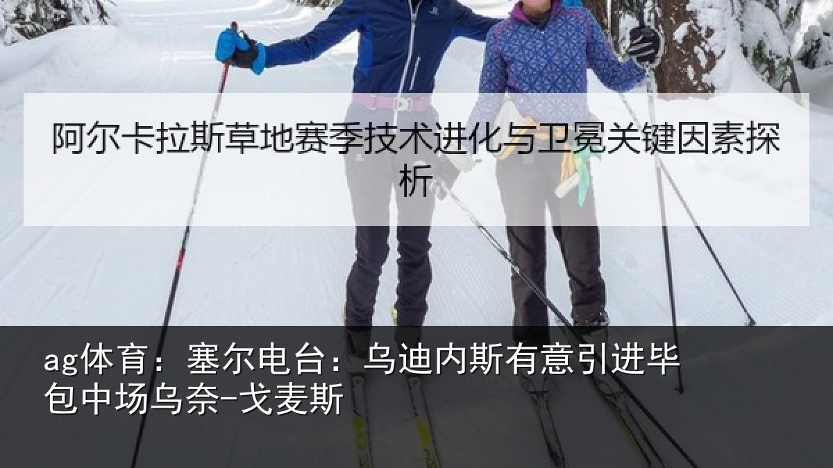 ag体育：塞尔相关情况引进相关情况斯