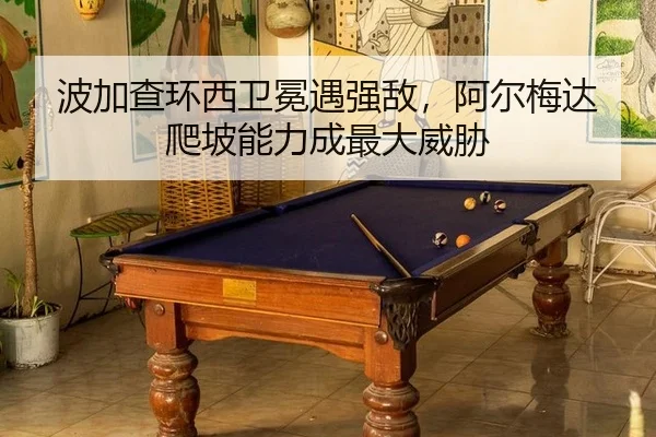 bo-jia-cha-huan-xi-wei-mian-yu-qiang-di-a-er-mei-da-pa-po-neng-li-cheng-zui-da-wei-xie-3-383.jpg