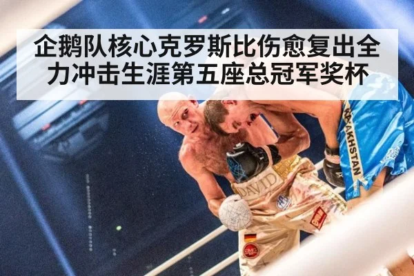 企鹅队核心克罗斯比伤愈复出全力冲击生涯第五座总冠军奖杯